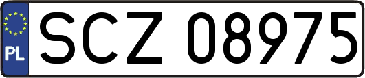 SCZ08975
