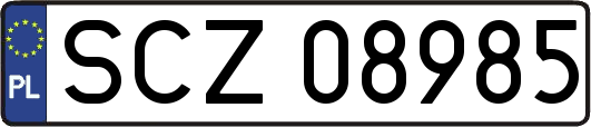 SCZ08985