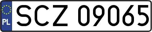 SCZ09065