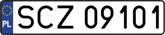 SCZ09101