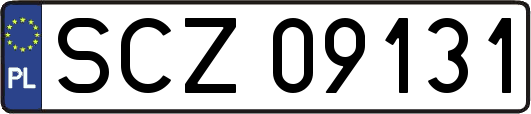 SCZ09131