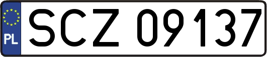 SCZ09137