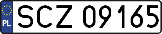 SCZ09165
