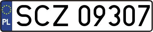 SCZ09307