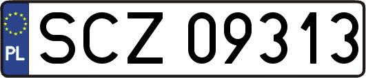 SCZ09313