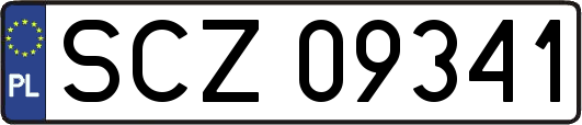 SCZ09341