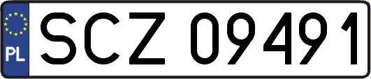 SCZ09491