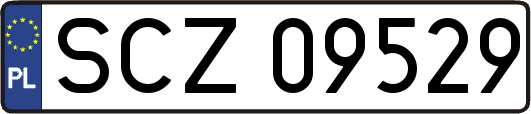 SCZ09529