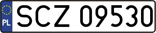 SCZ09530
