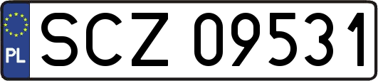 SCZ09531