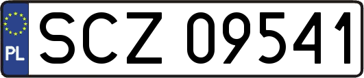 SCZ09541