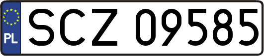 SCZ09585