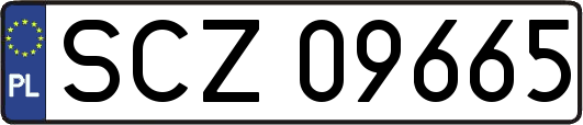 SCZ09665