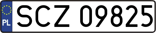 SCZ09825