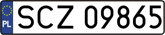 SCZ09865