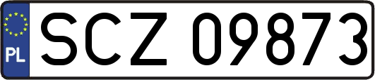 SCZ09873