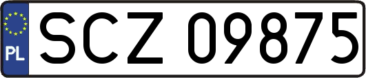 SCZ09875
