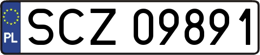 SCZ09891