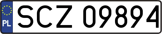 SCZ09894