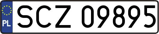 SCZ09895