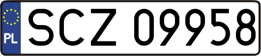 SCZ09958