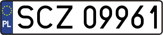 SCZ09961