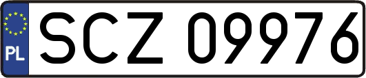 SCZ09976