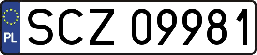 SCZ09981