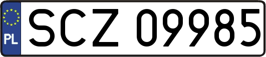 SCZ09985