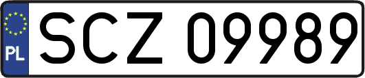 SCZ09989