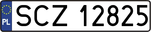 SCZ12825