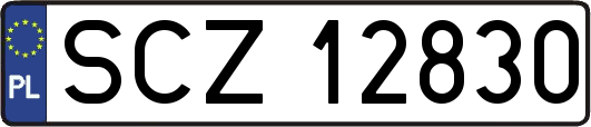 SCZ12830