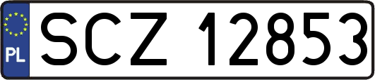 SCZ12853