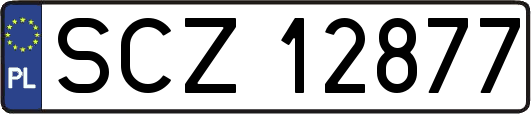 SCZ12877