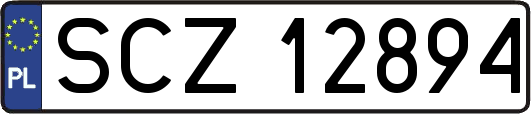 SCZ12894