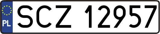 SCZ12957