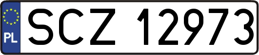 SCZ12973
