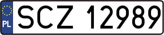 SCZ12989