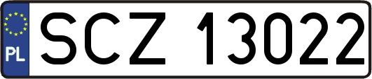 SCZ13022