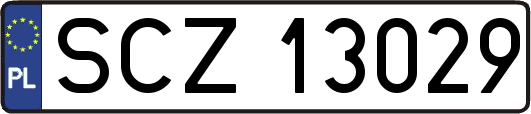 SCZ13029