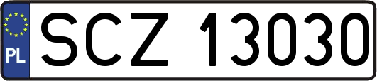 SCZ13030