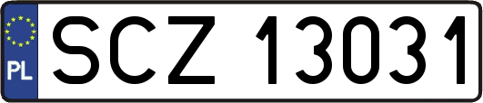 SCZ13031