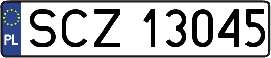 SCZ13045