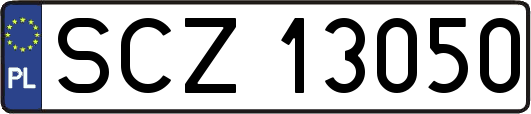 SCZ13050