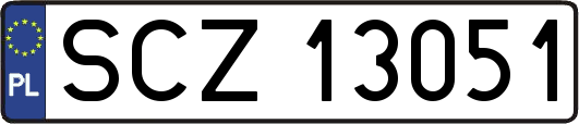 SCZ13051
