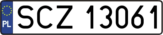 SCZ13061