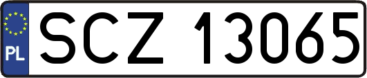 SCZ13065