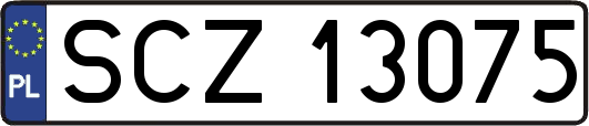 SCZ13075