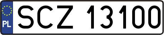 SCZ13100