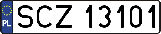 SCZ13101